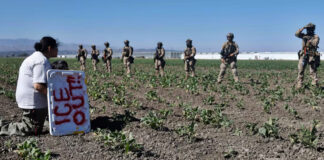 Inestabilidad en el empleo impacta bienestar de migrantes en Estados Unidos Inestabilidad en el empleo impacta bienestar de migrantes en Estados Unidos