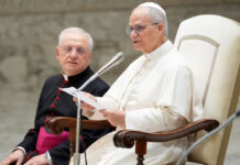 Papa León XIV condena tiroteo en Minneapolis; pide frenar la “pandemia de armas” Papa León XIV condena tiroteo en Minneapolis; pide frenar la “pandemia de armas”