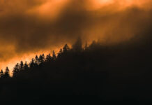 Subestiman la mortalidad de las partículas finas de incendios forestales en un 93 % Subestiman la mortalidad de las partículas finas de incendios forestales en un 93 %