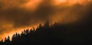 Subestiman la mortalidad de las partículas finas de incendios forestales en un 93 % Subestiman la mortalidad de las partículas finas de incendios forestales en un 93 %