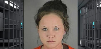 Buscan prisión para la mujer que compró las armas del tiroteo de Burnsville 3,5 años de prisión para la mujer que compró armas del tiroteo de socorristas