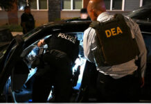 DEA y México lanzan Proyecto Portero; van contra los “guardianes de los cárteles” DEA y México lanzan Proyecto Portero; van contra los "guardianes de los cárteles"