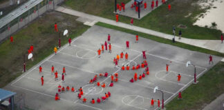 Jueza ordena suspender más construcciones en “Alcatraz Alligator”, en Florida Jueza ordena suspender más construcciones en "Alcatraz Alligator", en Florida