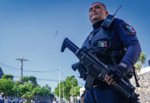 La guerra entre la “Chapiza” y la “Mayiza” deja mil 850 muertos y 615 arrestos La guerra entre la "Chapiza" y la "Mayiza" deja mil 850 muertos y 615 arrestos