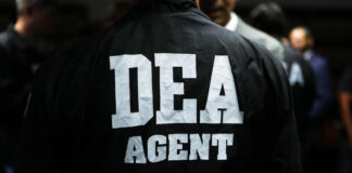 DEA golpea al Cártel de Sinaloa; 617 detenidos y toneladas de droga incautada DEA golpea al Cártel de Sinaloa; 617 detenidos y toneladas de droga incautada