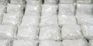 EEUU incauta 13 mil barriles de químicos chinos para drogas del Cartel de Sinaloa EEUU incauta 13 mil barriles de químicos chinos para drogas del Cartel de Sinaloa