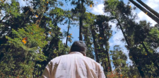 “El guardián de las monarcas”: El documental que sacudió conciencias "El guardián de las monarcas": El documental que sacudió conciencias