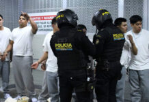 Desmantelan red de extorsión de la Mara Salvatrucha en Guatemala; hay 17 detenidos Desmantelan red de extorsión de la Mara Salvatrucha en Guatemala; hay 17 detenidos