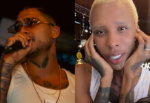 Sheinbaum ordena investigar asesinato de músicos colombianos B-King y DJ Regio Clown Sheinbaum ordena investigar asesinato de músicos colombianos B-King y DJ Regio Clown