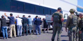 Sheinbaum reporta 23 mexicanos detenidos en redadas de Georgia y 19 en Alligator Alcatraz Sheinbaum reporta 23 mexicanos detenidos por redadas de Georgia y 19 en Alligator Alcatraz