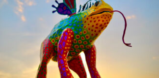 Exhibición del Museo Latino de Minnesota muestra cómo sería un museo permanente Exhibición del Museo Latino de Minnesota muestra cómo sería un museo permanente