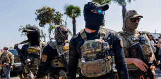 Compañía Pokémon no dio permiso para uso de su material en videos de redadas en EEUU Compañía Pokémon no dio permiso para uso de su material en videos de redadas en EEUU