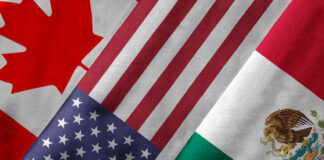 Inician consultas rumbo a la revisión del T-MEC; en México durarán 60 días Inician consultas rumbo a la revisión del T-MEC; en México durarán 60 días
