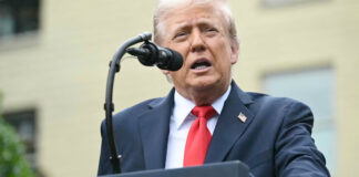 Donald Trump dice que empresas extranjeras pueden traer empleados por “un tiempo” Donald Trump dice que empresas extranjeras pueden traer empleados por "un tiempo"