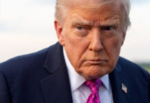 Trump sugiere eliminar reportes trimestrales para ahorrar dinero y mejorar gestión Trump sugiere eliminar reportes trimestrales para ahorrar dinero y mejorar gestión