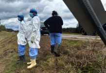 Autoridades de Mississippi buscan a tres monos de laboratorio que escaparon en accidente Autoridades de Mississippi buscan a tres monos de laboratorio que escaparon en accidente