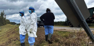 Autoridades de Mississippi buscan a tres monos de laboratorio que escaparon en accidente Autoridades de Mississippi buscan a tres monos de laboratorio que escaparon en accidente