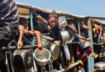 Hambruna en Gaza no disminuye tras el alto el fuego, reporta la OMS, la ayuda no es suficiente Hambruna en Gaza no disminuye tras el alto el fuego, reporta la OMS, la ayuda no es suficiente