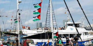 Cancillería confirma tres mexicanos interceptados por Israel en la Flotilla Global Sumud Cancillería confirma tres mexicanos interceptados por Israel en la Flotilla Global Sumud