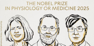 Mary E. Brunkow, Fred Ramsdell y Shimon Sakaguchi, Premio Nobel de Medicina 2025 Mary E. Brunkow, Fred Ramsdell y Shimon Sakaguchi, Premio Nobel de Medicina 2025