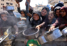 OMS confirma casi 400 muertes por malnutrición en Gaza, entre ellos un centenar de niños OMS confirma casi 400 muertes por malnutrición en Gaza, entre ellos un centenar de niños