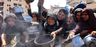 OMS confirma casi 400 muertes por malnutrición en Gaza, entre ellos un centenar de niños OMS confirma casi 400 muertes por malnutrición en Gaza, entre ellos un centenar de niños