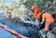 Pemex recupera casi un millón y medio de litros de hidrocarburo tras derrame en Veracruz Pemex recupera casi un millón y medio de litros de hidrocarburo tras derrame en Veracruz