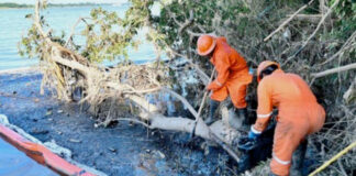 Pemex recupera casi un millón y medio de litros de hidrocarburo tras derrame en Veracruz Pemex recupera casi un millón y medio de litros de hidrocarburo tras derrame en Veracruz