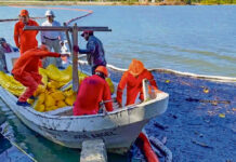 Suman 345 mil litros de crudo recuperado tras derrame en ríos de Veracruz Suman 345 mil litros de crudo recuperado tras derrame en ríos de Veracruz