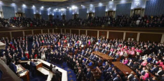 Senado de EEUU falla por undécima ocasión intento para terminar el cierre de Gobierno Senado de EEUU falla por undécima ocasión intento para terminar el cierre de Gobierno