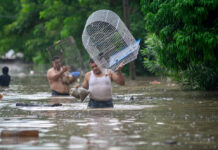 Sheinbaum anuncia censos para la entrega de apoyos a afectados por fuertes lluvias Sheinbaum anuncia censos para la entrega de apoyos a afectados por fuertes lluvias
