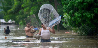 Sheinbaum anuncia censos para la entrega de apoyos a afectados por fuertes lluvias Sheinbaum anuncia censos para la entrega de apoyos a afectados por fuertes lluvias