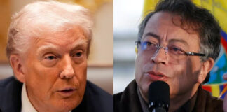 Trump dice que Petro es un “matón” y un “mal tipo” que fabrica “muchas drogas” Trump dice que Petro es un "matón" y un "mal tipo" que fabrica "muchas drogas"