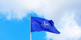 Donald Trump sugiere que “quizás deberían expulsar” a España de la OTAN Donald Trump sugiere que "quizás deberían expulsar" a España de la OTAN