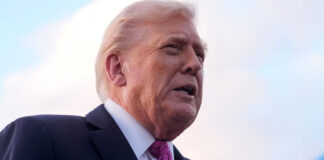 Trump llama a Petro “traficante de drogas”; anuncia fin de ayuda a Colombia Trump llama a Petro “traficante de drogas”; anuncia fin de ayuda a Colombia