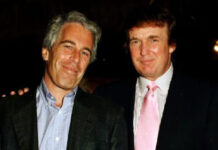 Casa Blanca acusa a demócratas de crear “narrativa falsa” para ligar a Trump con Epstein Casa Blanca acusa a demócratas de crear "narrativa falsa" para ligar a Trump con Epstein