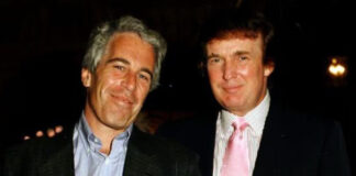 Casa Blanca acusa a demócratas de crear “narrativa falsa” para ligar a Trump con Epstein Casa Blanca acusa a demócratas de crear "narrativa falsa" para ligar a Trump con Epstein