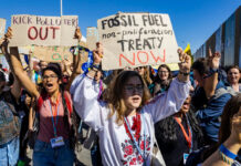 En la Cop30, la OMS y Brasil instan a aplicar sin demora el Plan de Acción en Salud de Belém En la Cop30, la OMS y Brasil instan a aplicar sin demora el Plan de Acción en Salud de Belém