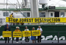 COP30 de Brasil: una cumbre incierta, pero imprescindible para la acción climática COP30 de Brasil: una cumbre incierta, pero imprescindible para la acción climática