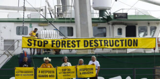 COP30 de Brasil: una cumbre incierta, pero imprescindible para la acción climática COP30 de Brasil: una cumbre incierta, pero imprescindible para la acción climática