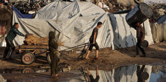 El genocidio de Israel contra los palestinos de Gaza continúa pese al alto el fuego El genocidio de Israel contra los palestinos de Gaza continúa pese al alto el fuego