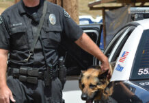 Condados de Minnesota usan el dinero de los acuerdos por opioides en perros policía Condados de Minnesota usan el dinero de los acuerdos por opioides en perros policía