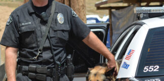 Condados de Minnesota usan el dinero de los acuerdos por opioides en perros policía Condados de Minnesota usan el dinero de los acuerdos por opioides en perros policía