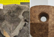 Autoridades españolas recuperan en Bilbao piezas prehistóricas de México y Ecuador Autoridades españolas recuperan en Bilbao piezas prehistóricas de México y Ecuador