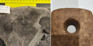 Autoridades españolas recuperan en Bilbao piezas prehistóricas de México y Ecuador Autoridades españolas recuperan en Bilbao piezas prehistóricas de México y Ecuador