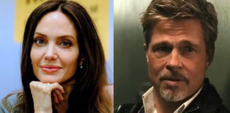 Brad Pitt demanda a Angelina Jolie por 35 millones de dólares, por su viñedo en Francia Brad Pitt demanda a Angelina Jolie por 35 millones de dólares, por su viñedo en Francia