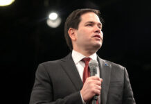 Marco Rubio descarta envío de fuerzas de EEUU a México para combatir a narcotraficantes Marco Rubio descarta envío de fuerzas de EEUU a México para combatir a narcotraficantes