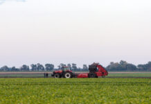 Trump permite entrada de trabajadores agrícolas extranjeros; reduce las redadas en las granjas Trump permite entrada de trabajadores agrícolas extranjeros; reduce las redadas en las granjas