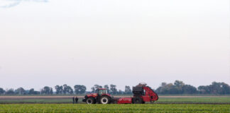 Trump permite entrada de trabajadores agrícolas extranjeros; reduce las redadas en las granjas Trump permite entrada de trabajadores agrícolas extranjeros; reduce las redadas en las granjas