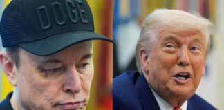 Trump disuelve el Departamento de Eficiencia Gubernamental que dirigía Elon Musk Trump disuelve el Departamento de Eficiencia Gubernamental que dirigía Elon Musk